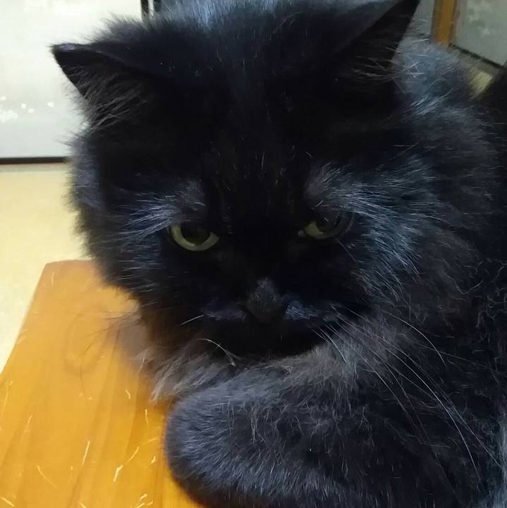 0e5137c9 bd42 4cf1 aea1 1f7ba40639e2