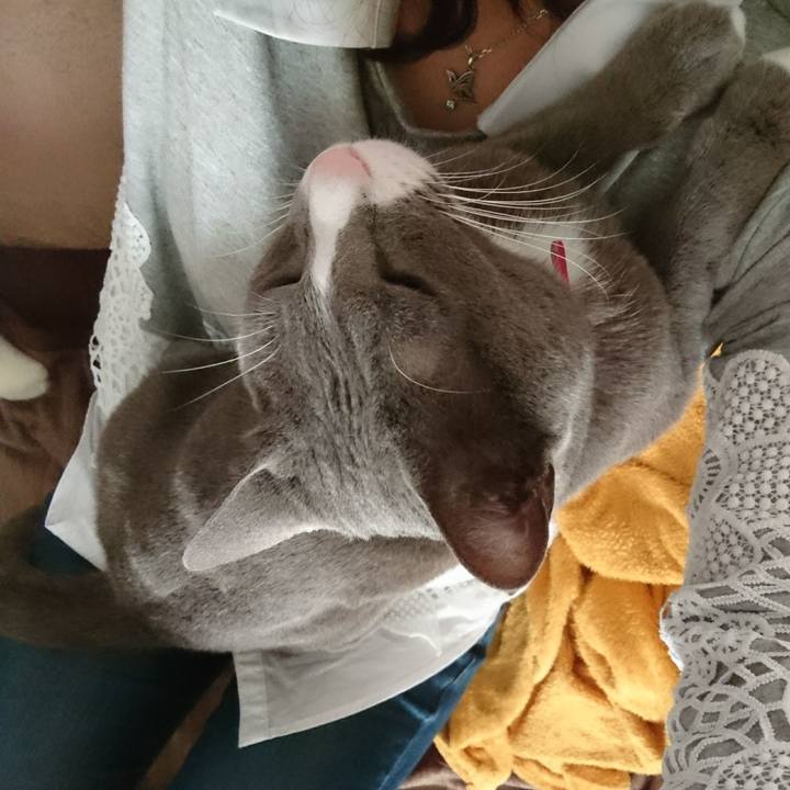 0e518153 b42e 459d abdd 10c3e37eef44