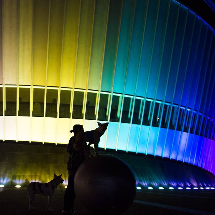 0e51a229 55f0 4be8 8771 5c03aaea6767