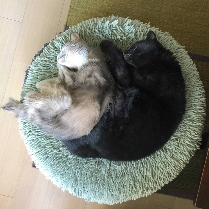 0e51dd30 7b80 483d a14c 72f83112ec8e