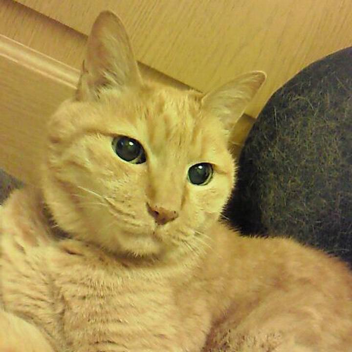 0e523964 cea9 4216 8d9b 78f7ee6f0d11