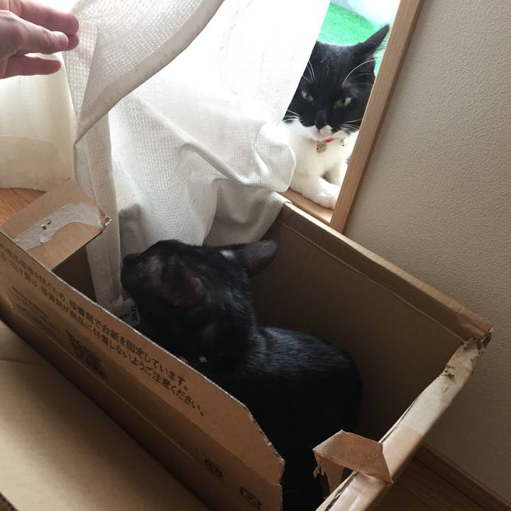 0e523f3b d2ed 4e3b a1a4 221075cbc629