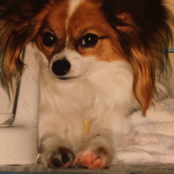 0e53a2f5 ba18 4599 aad0 1ec76daa4c70