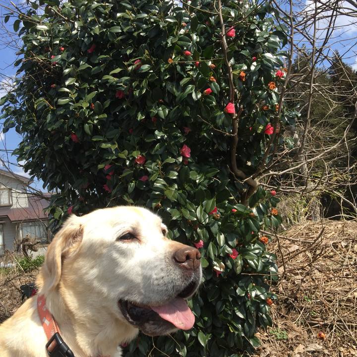 0e5411f8 2b55 44a9 91e0 9be4fd2ca552