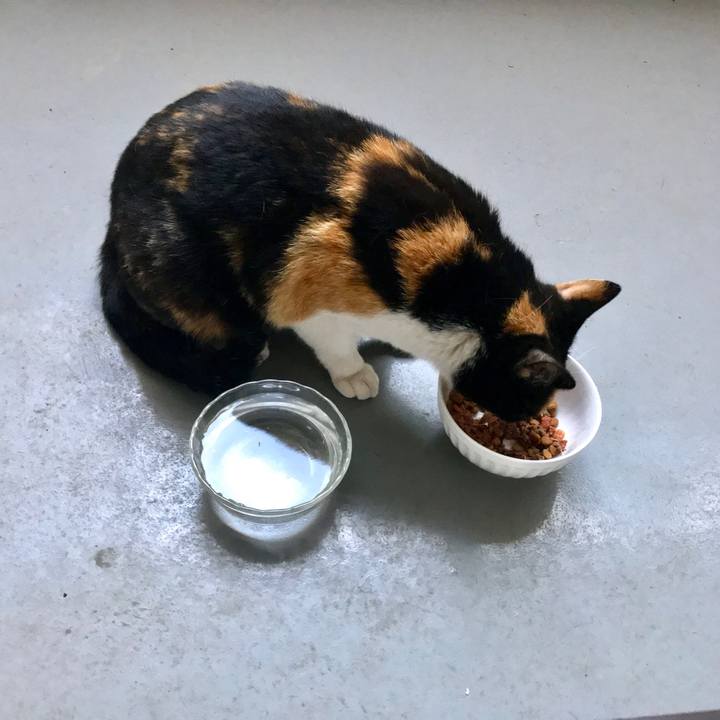 0e5418fb 9b08 488a bdd5 60c231ac9c17