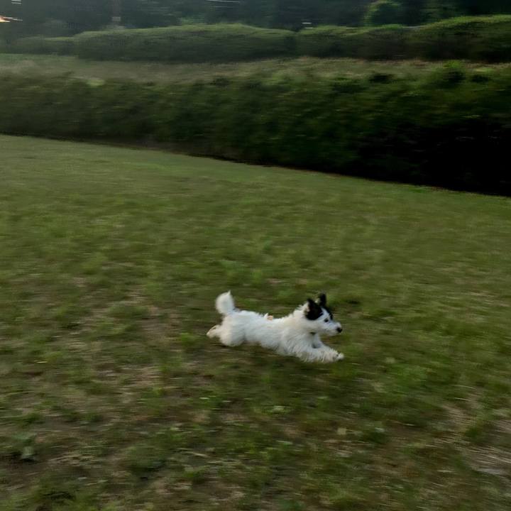 0e542d1d 3440 4796 89df 4a775a5bd2b8