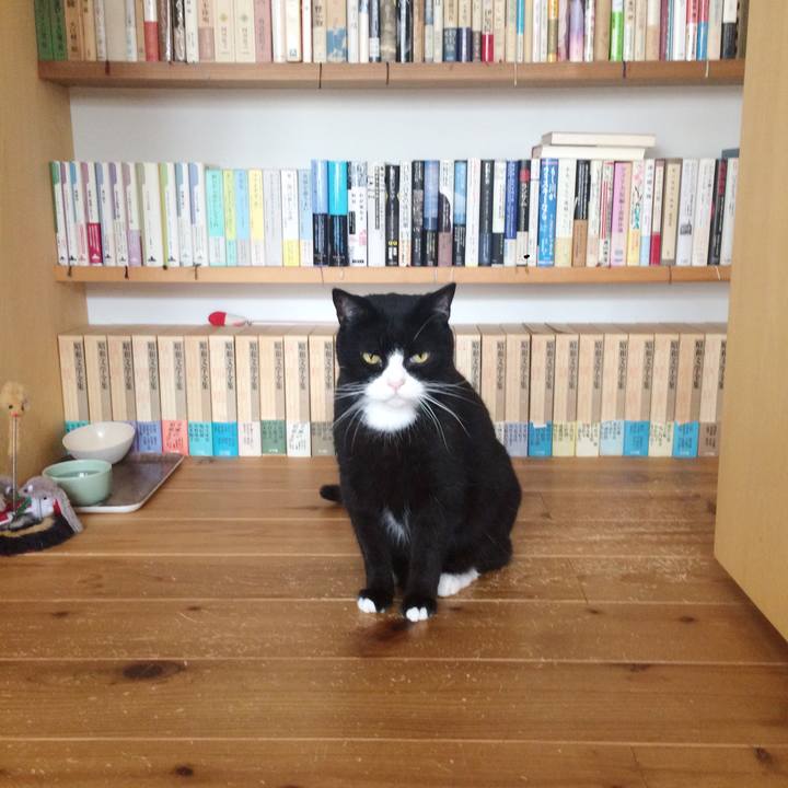 0e5450f0 c711 4f71 b99c 1fbc240b331c