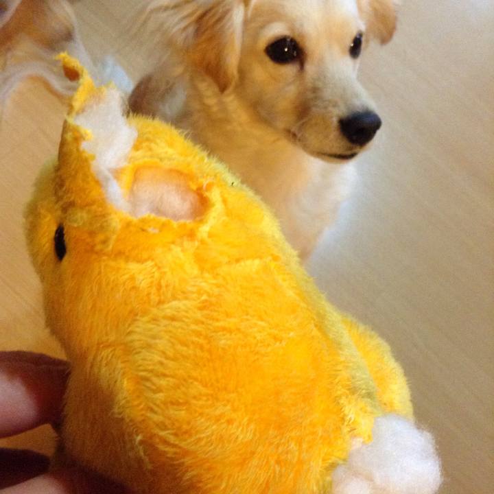 0e55d36b ea13 43d5 b463 5698061fbf6e