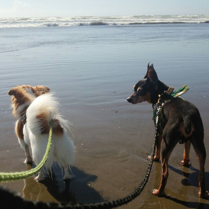 0e562d4a c269 4950 b7b5 3c80c43f4b1d