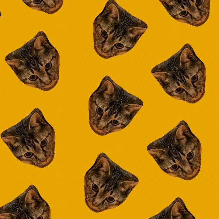 0e572c37 a4cf 4ef5 ae8d 2fa0aa0eaae7