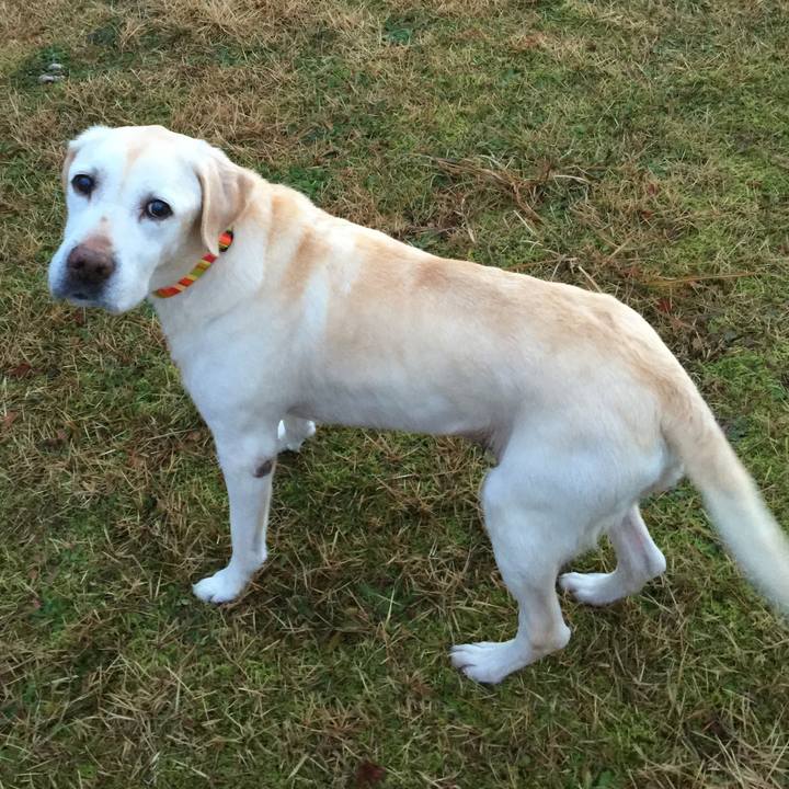 0e57c527 7df0 4a8f b354 4de25ee83f7a