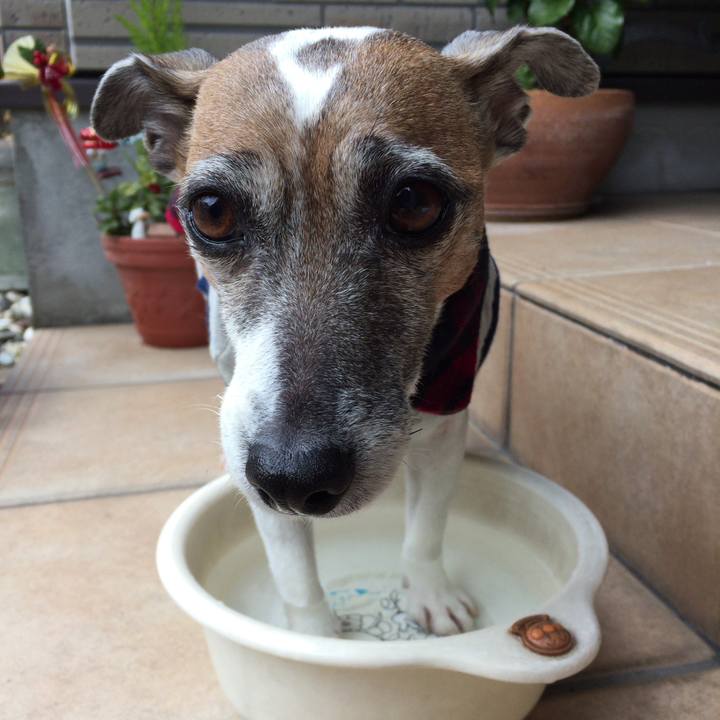 0e57d910 5b0f 47a1 a162 98cf5b989716