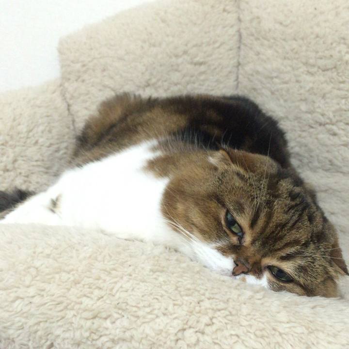 0e5849d4 6a99 454e b7ae e564f38c49fb