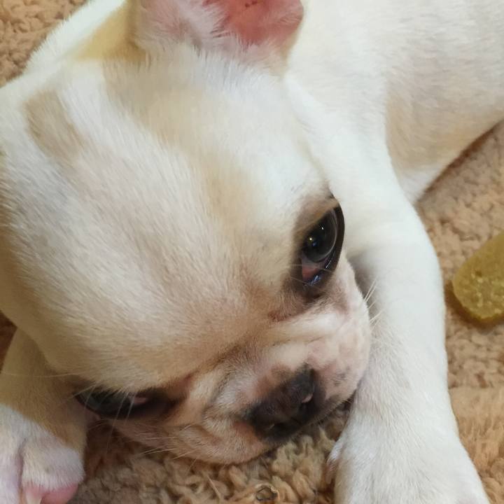 0e590405 bd22 4a8b b60d c74e86a60b04