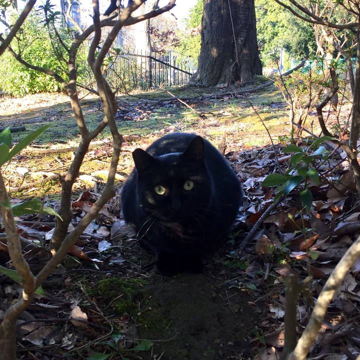 0e59d8b2 24e2 46f3 bfb9 9532acdceb33