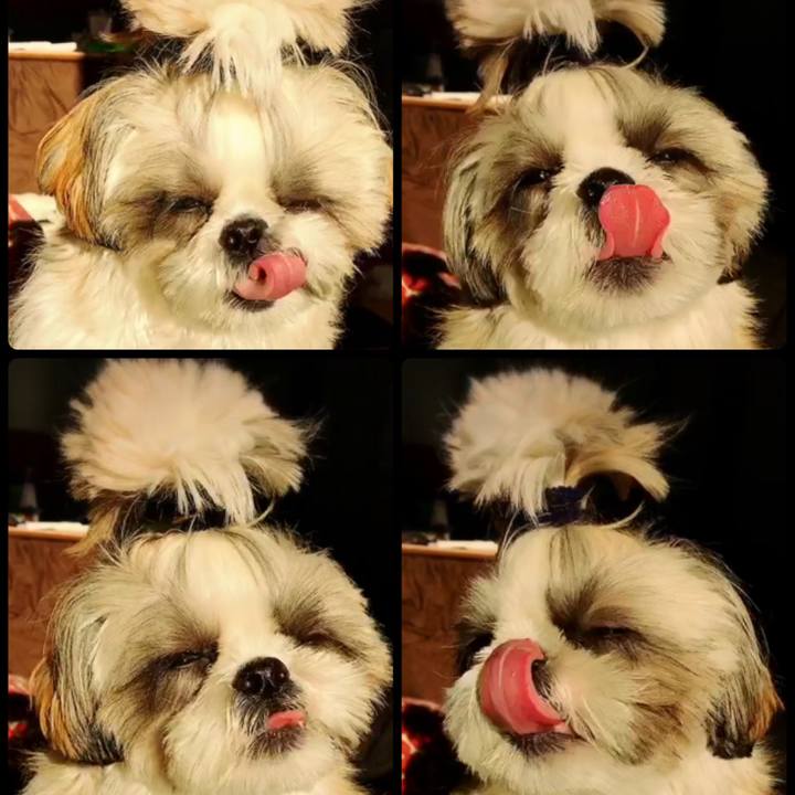 0e5a0caa cad9 44dc 986d 2f6e526660cf