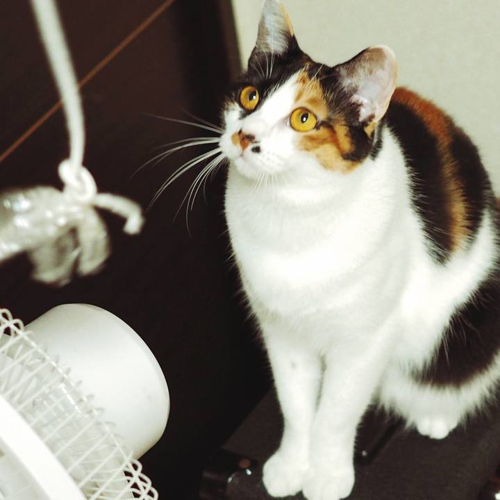 0e5a29aa d0f8 4376 8e44 40743bef228f