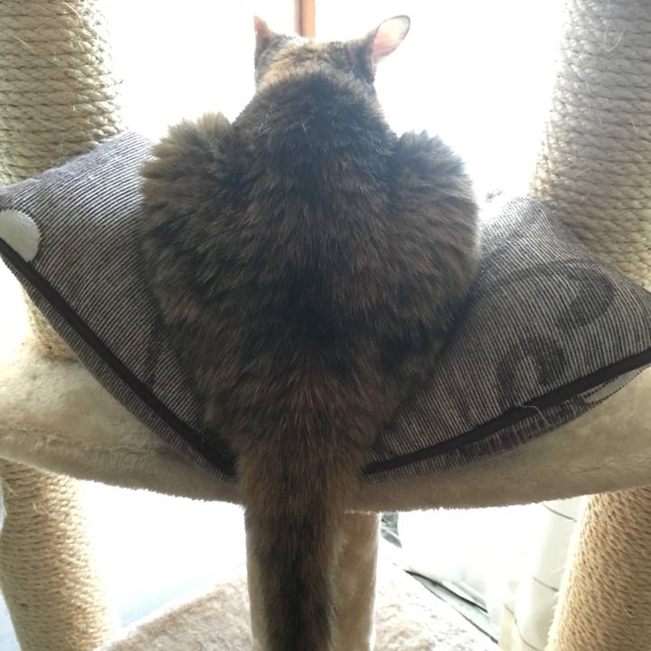 0e5a5ab4 8bd2 4df6 8d78 e6996087094f