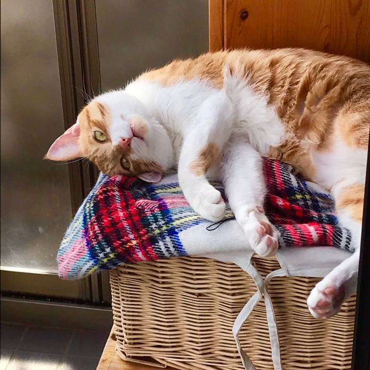 0e5a9284 1b7e 402e 983a 246ad1295c2f