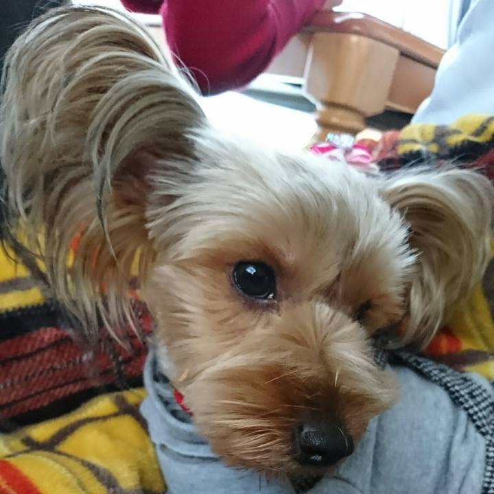 0e5ac88e 0ed4 46f6 addd fd8c51a6920e