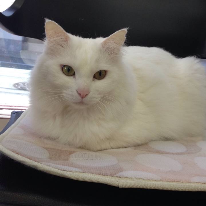 0e5ad372 5548 4100 ac77 0c04df7c9c3b