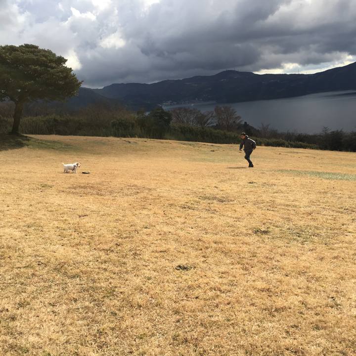 0e5b266d 8a47 45cb ab36 7df4444d5c50