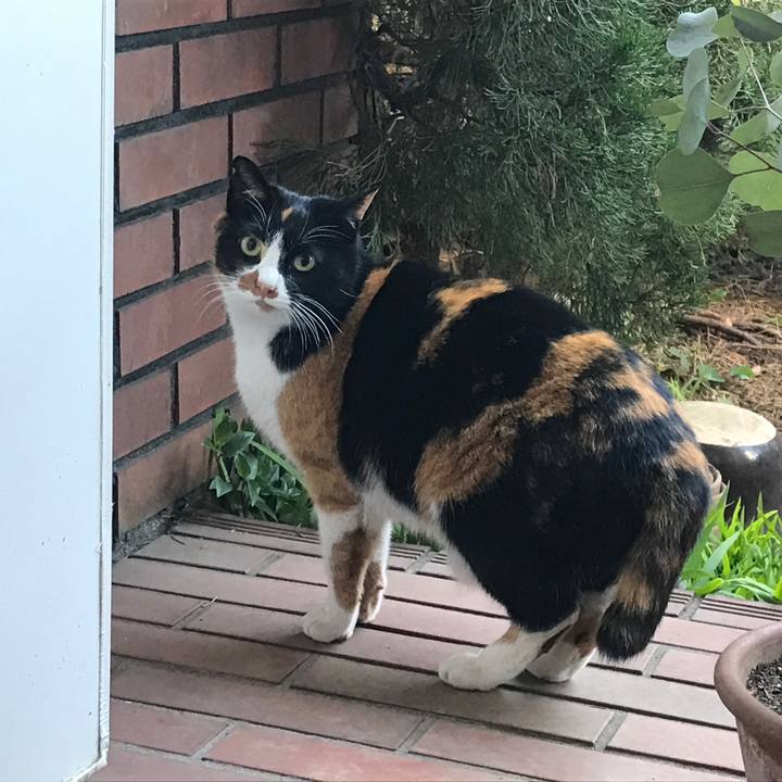 0e5b530b d52e 42a2 a2fd bcf726b51d7f