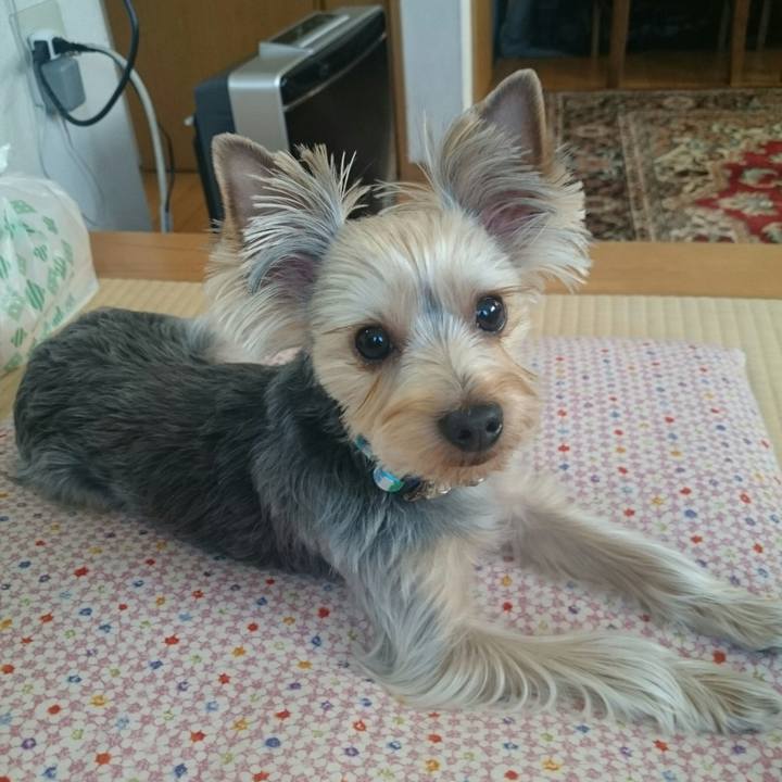 0e5ba06d 845d 442c a183 56a42d7b2c25