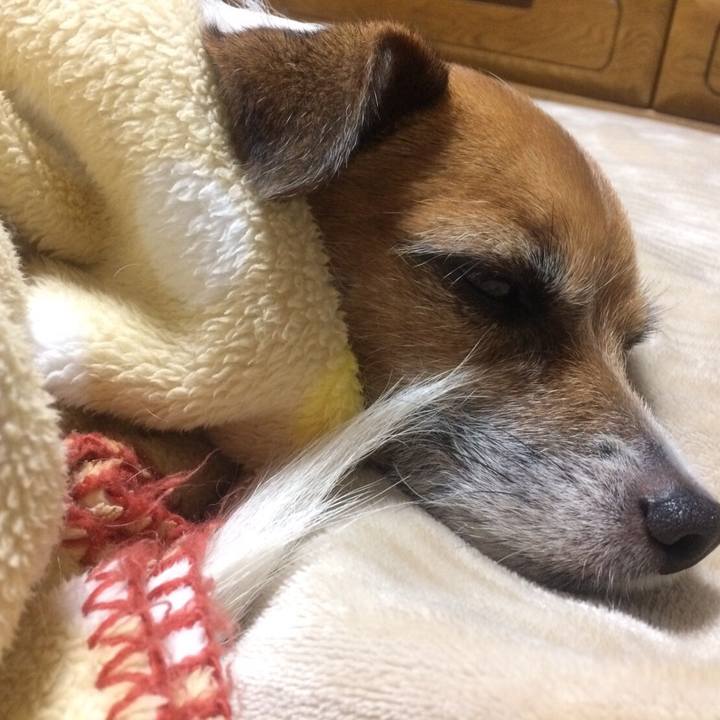 0e5be3f3 e9e6 4f8b 98f8 fd8a501670a2