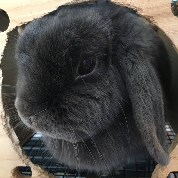 0e5c6a5c f6d5 4878 a895 eefb20683379