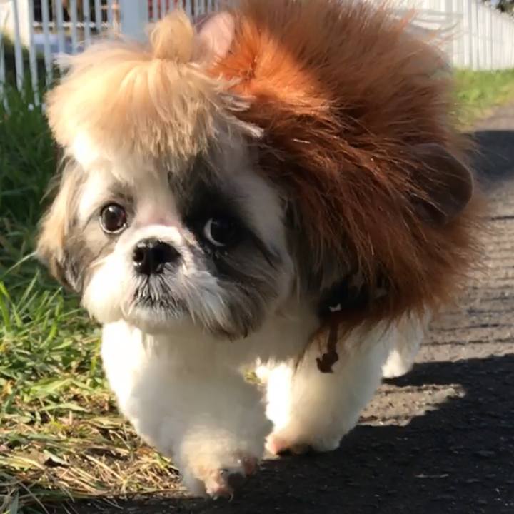 0e5c7681 f2c5 4b11 a0d8 109d60775d4d