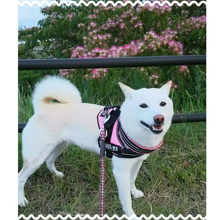 0e5ca1a2 1b17 4b47 90b6 6db5f3012539