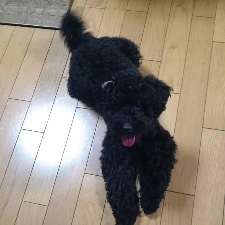 0e5d608a a86a 462a 9259 2375e45795c8