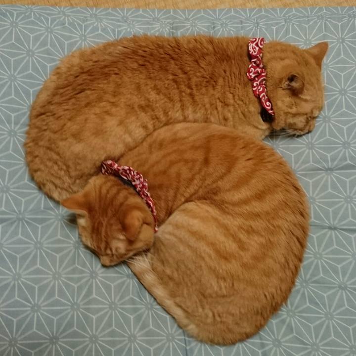 0e5da5c7 4a69 4e30 8d5f 500c5bdb0880