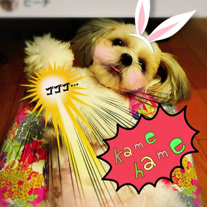 0e5dc182 b355 46cb b1d2 03a6167cf62c