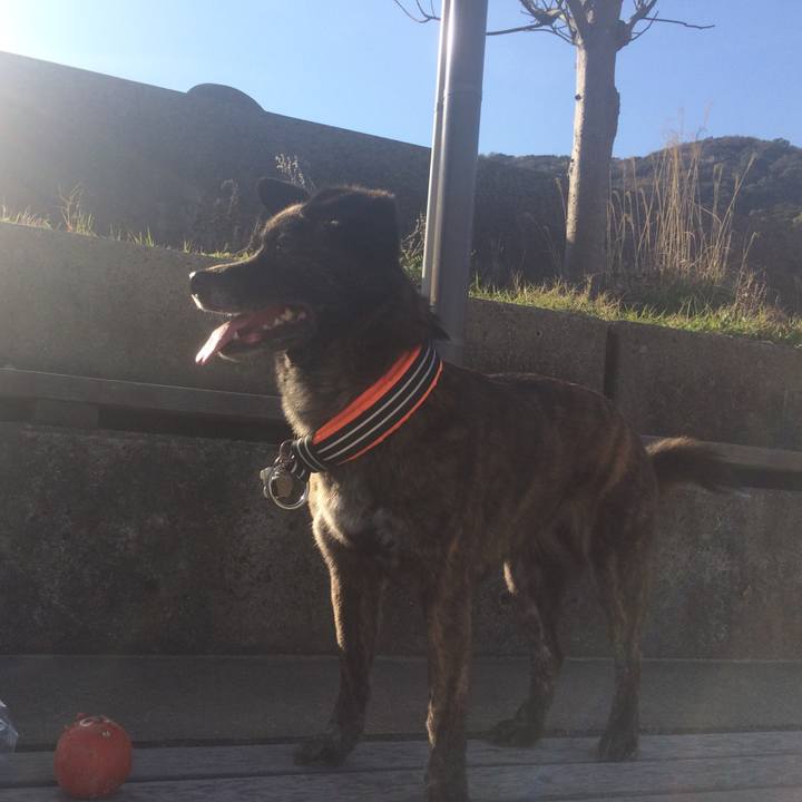 0e5dd058 b736 40f6 b81c fd6950102033