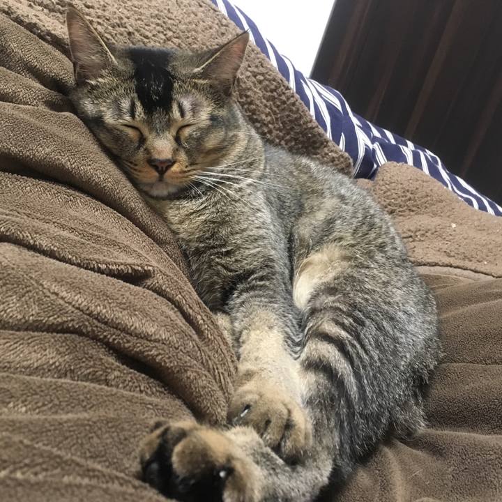 0e5dd0ee da49 457c b894 8c8baca446fd