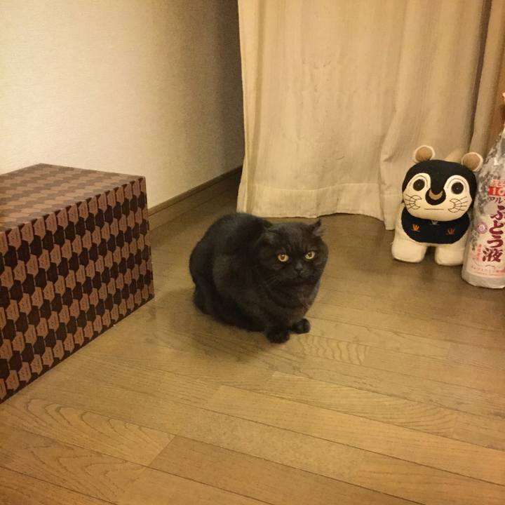 0e5e84ea 6288 44cf 913c 5ce36972f0c4