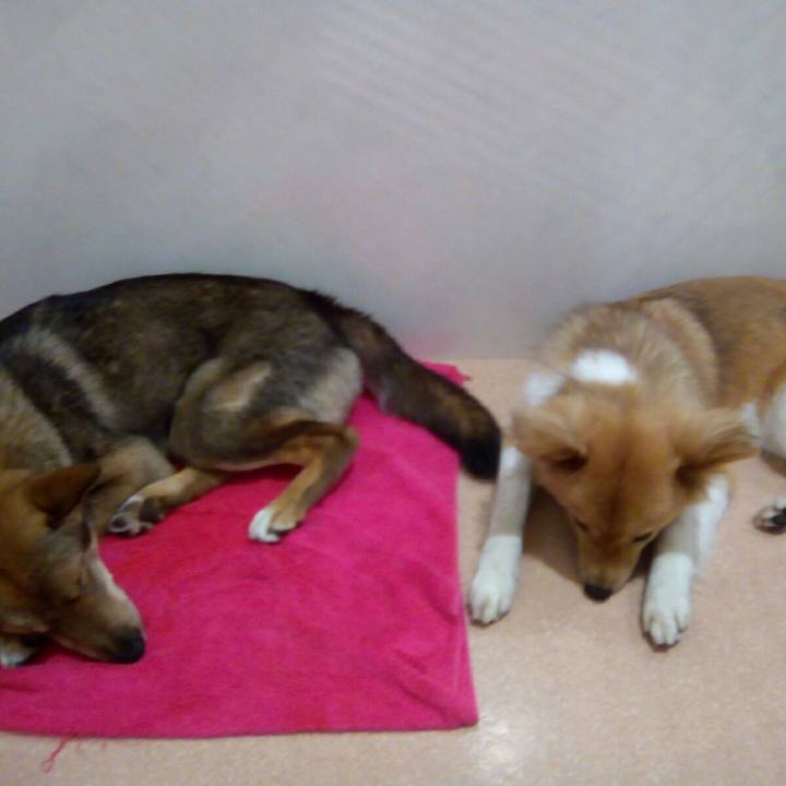 0e5ec174 de48 4740 9237 de63d8a936b3