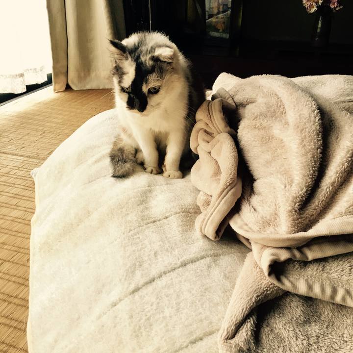 0e5f29f7 3967 456e 95fc a6c6cb04726e