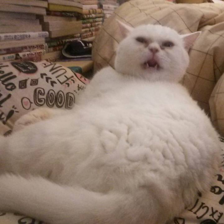 0e5fac4d 5961 4060 8324 e3f4a7f19371