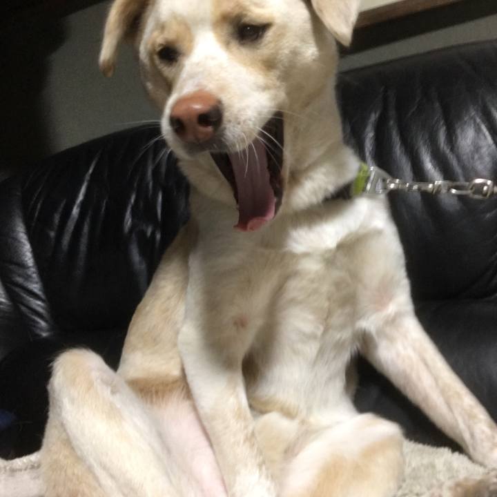 0e6026f0 9156 456c 939e fb639c8bef30