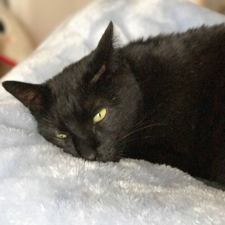 0e603afa 506a 4e20 a282 9bd1e73ac173