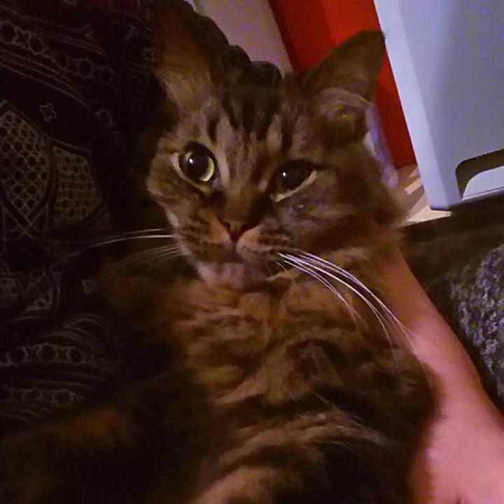 0e604ddf d109 43bb 9af7 8c613ae079bf