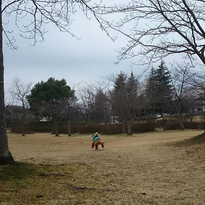 0e605ab0 057e 4901 9eee 0a883c82e796