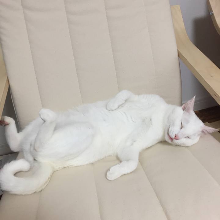 0e610ed1 9b00 4a38 b8fd aec9d281adac