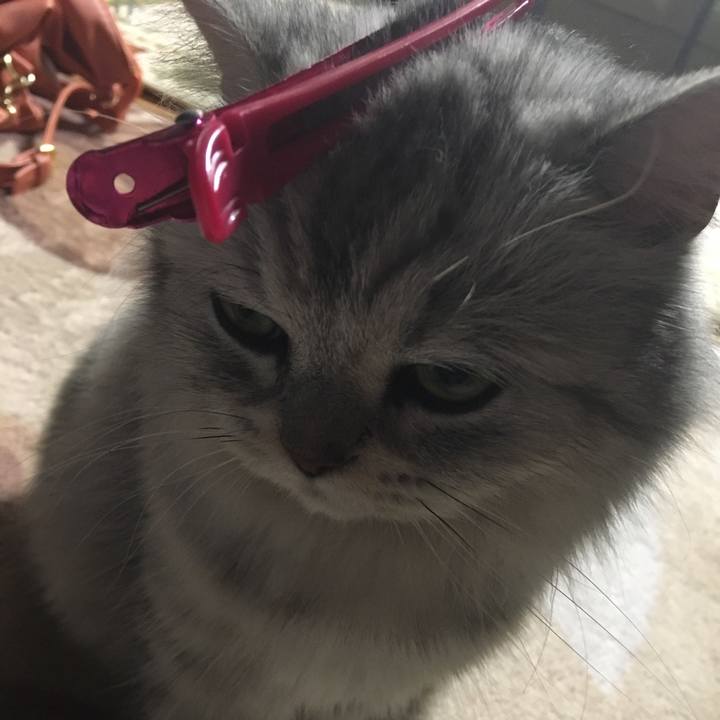 0e6111cb 7add 41c3 b6b3 1cbc10d92146