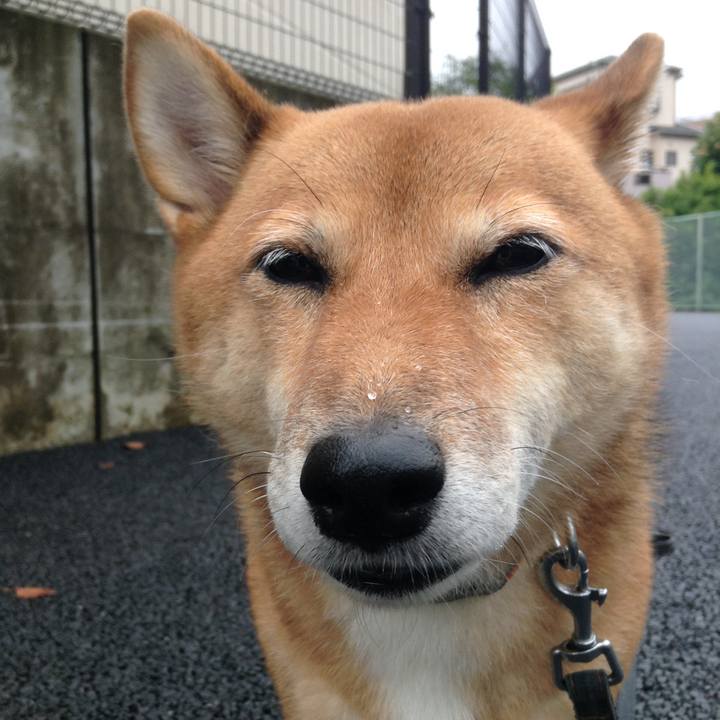 0e6192fd 6435 4b80 ae96 3fab19f870de