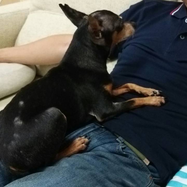 0e61b888 1a0c 46be a6b2 dcd56df79e03