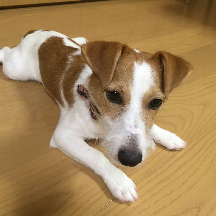 0e61d112 4995 433d b507 baee0c72b3d2